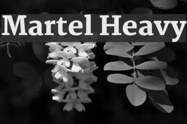 Martel Heavy examples