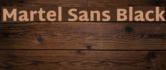Martel Sans Black Font examples