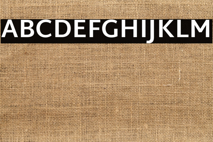 Martel Sans Bold Example 1