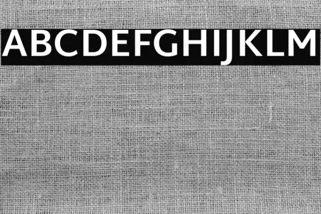 Martel Sans Bold Example 1