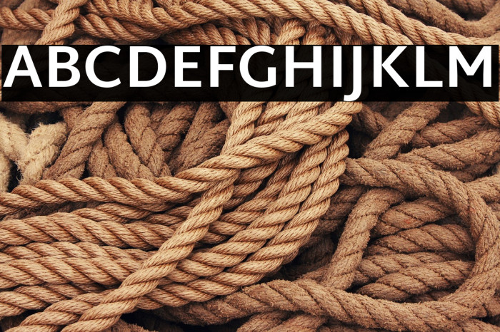 Martel Sans Bold Example 2