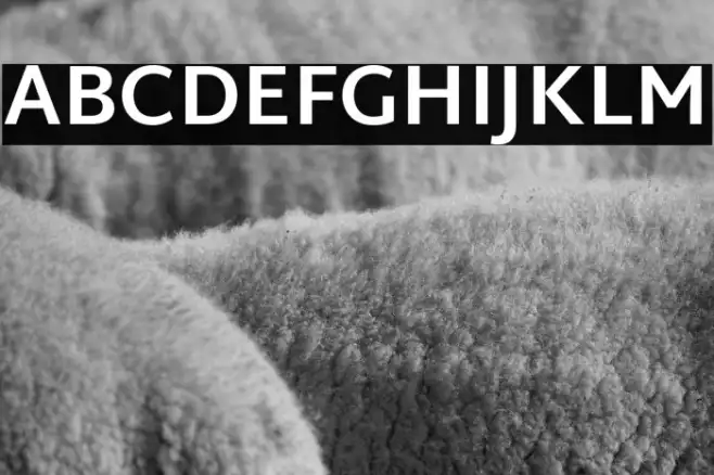 Martel Sans Bold Example 3