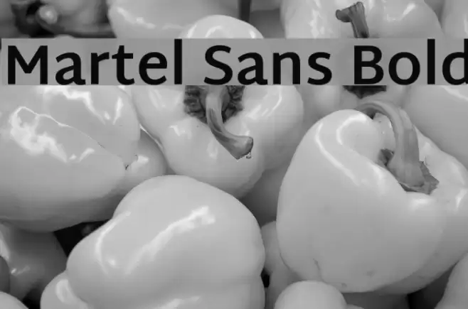 Martel Sans Bold Font examples
