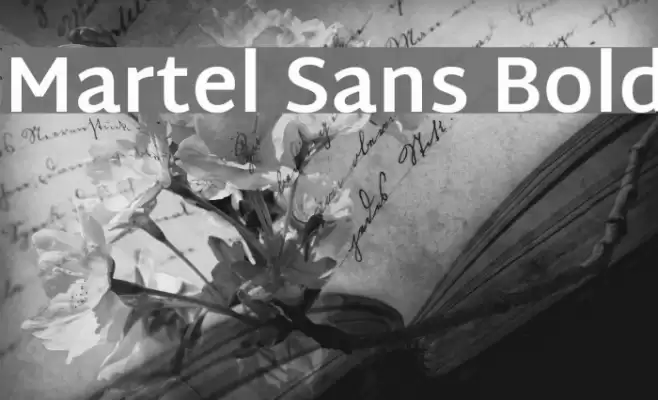 Martel Sans Bold Font examples