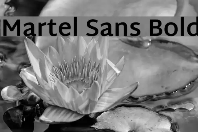 Martel Sans Bold Font examples