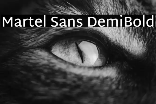 Martel Sans DemiBold Example 2