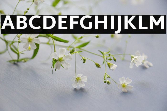 Martel Sans ExtraBold Example 3