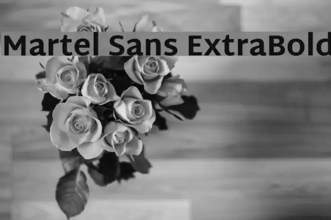 Martel Sans ExtraBold Font examples