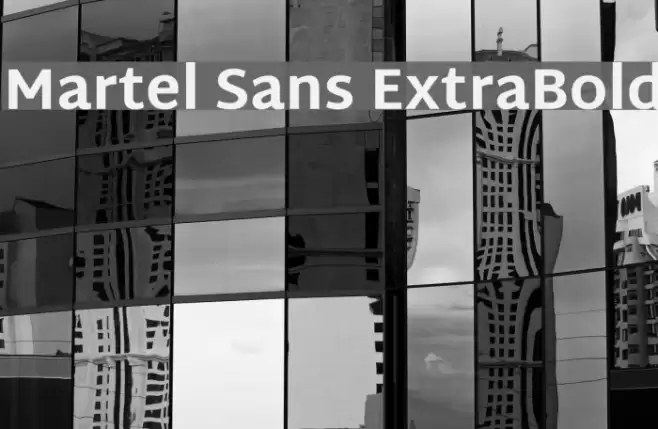 Martel Sans ExtraBold Font examples