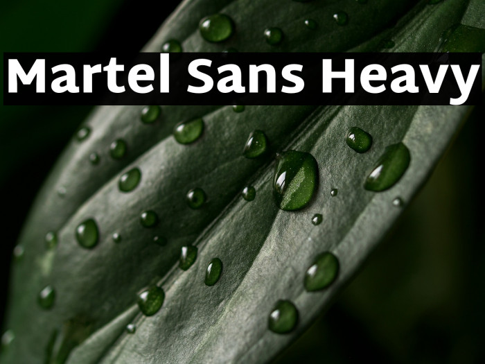Martel Sans Heavy Example 1