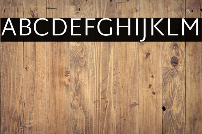 Martel Sans Light Example 1