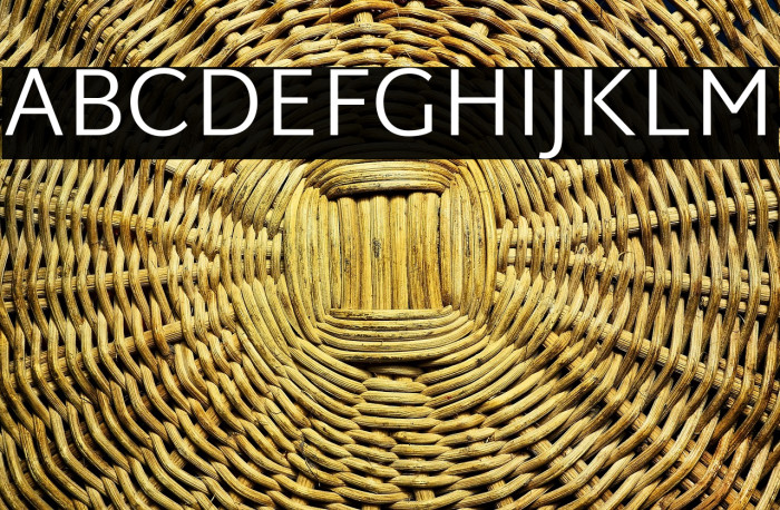 Martel Sans Light Example 3