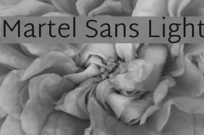Martel Sans Light examples