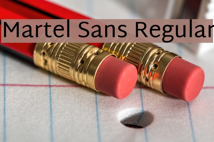 Martel Sans Regular Font examples