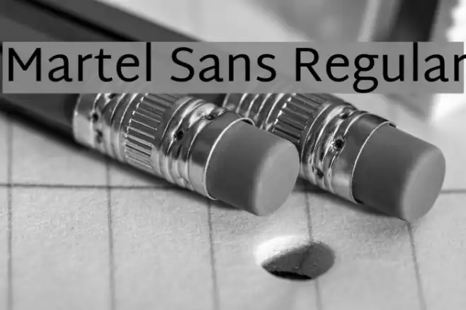 Martel Sans Regular Example 1