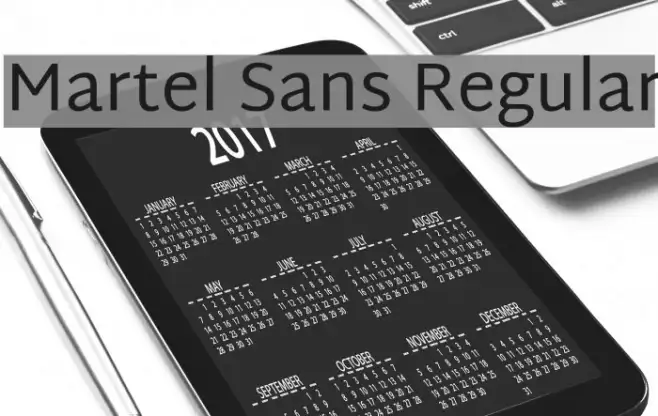 Martel Sans Regular Example 2