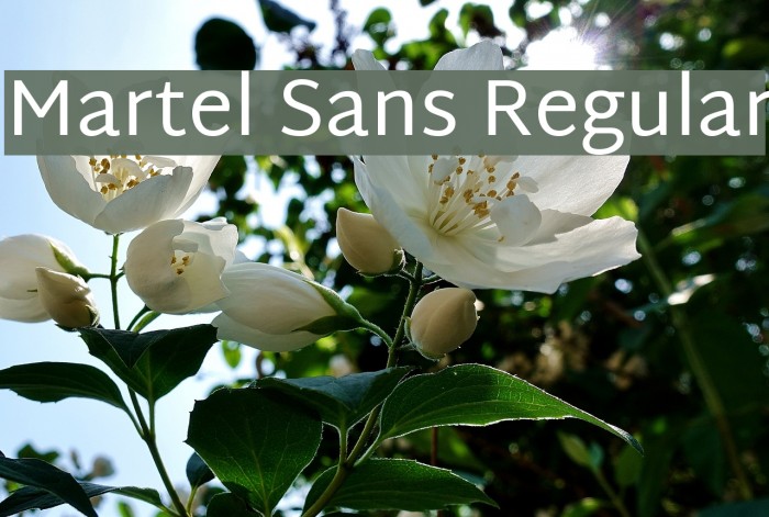 Martel Sans Regular Font examples