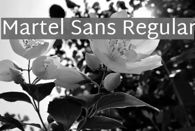Martel Sans Regular Example 3