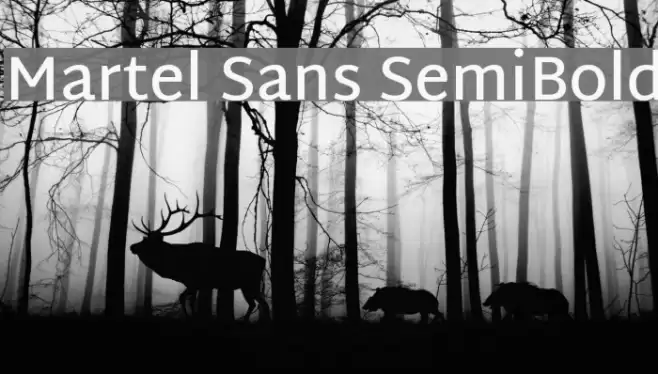 Martel Sans SemiBold Font examples