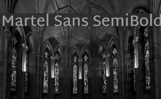 Martel Sans SemiBold Font examples