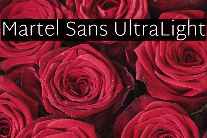 Martel Sans UltraLight Example 3