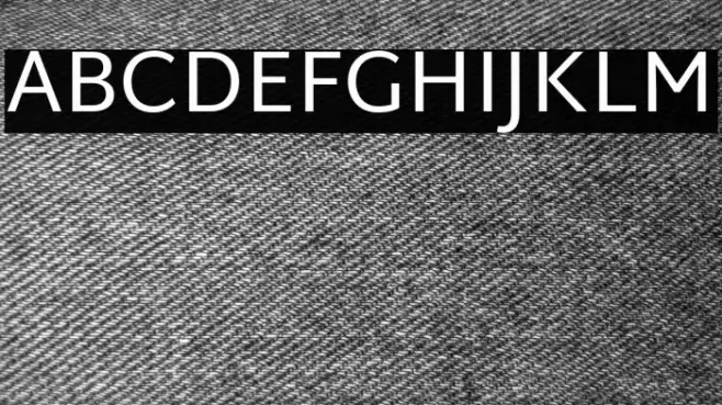 Martel Sans Font examples