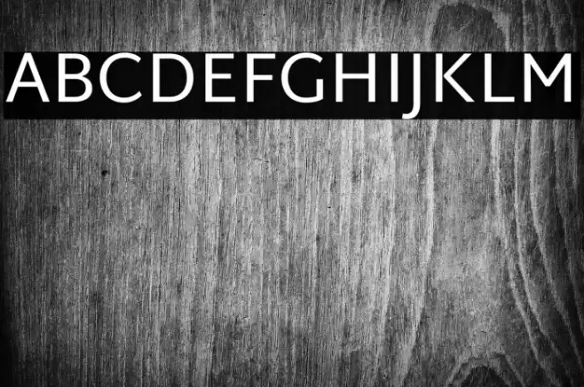 Martel Sans Font examples