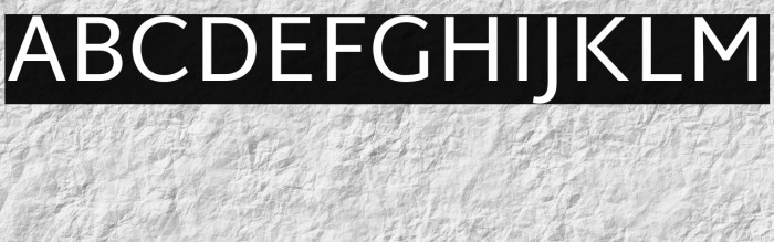 Martel Sans Example 3