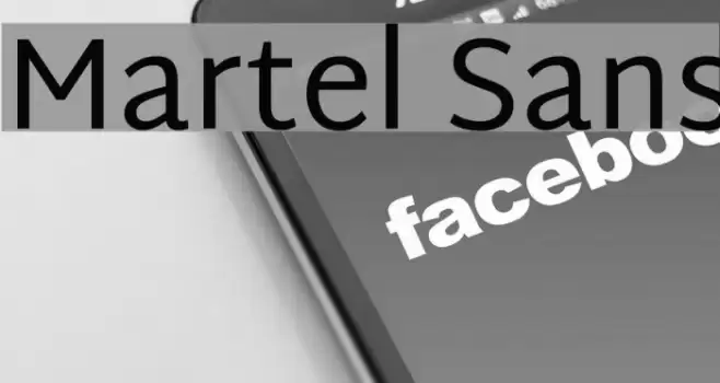 Martel Sans Font examples