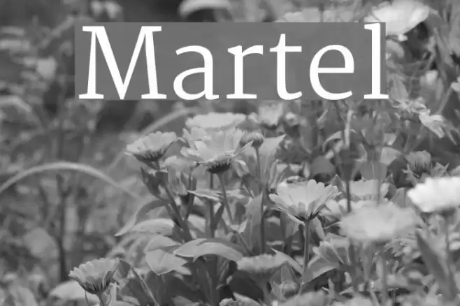 Martel Font examples