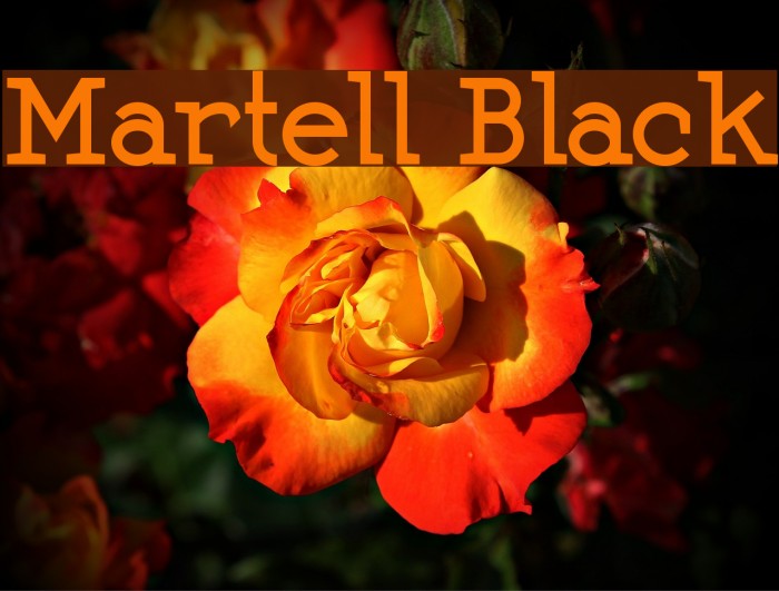 Martell Black Example 1