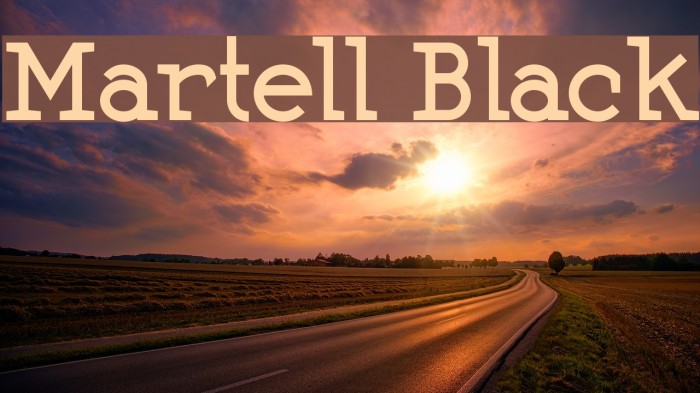 Martell Black Example 2