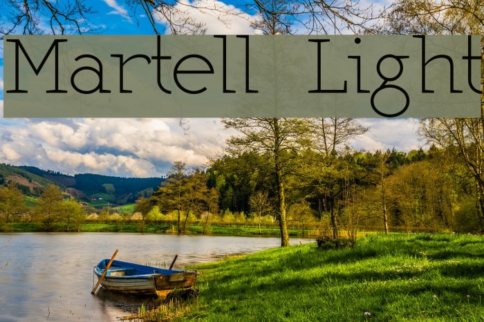 Martell Light Font examples