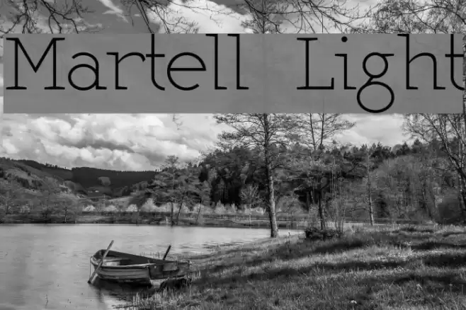 Martell  Light Font examples