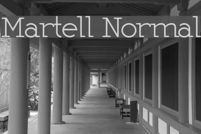 Martell Normal Font examples