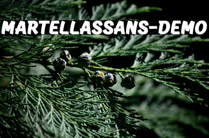 MartellasSans-Demo Example 2