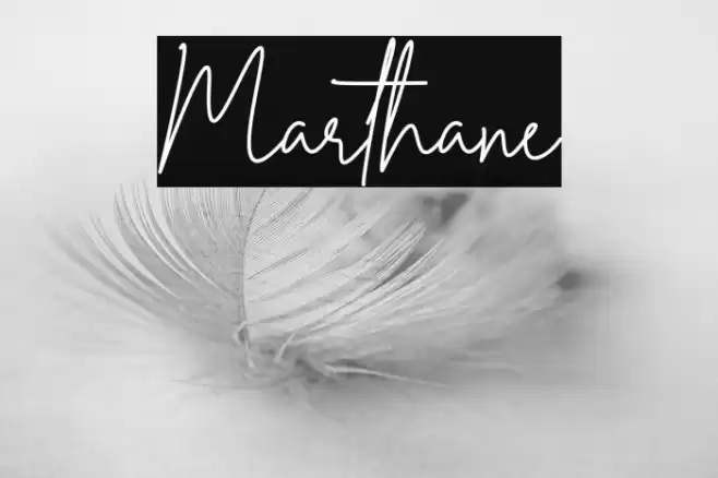 Marthane Font examples