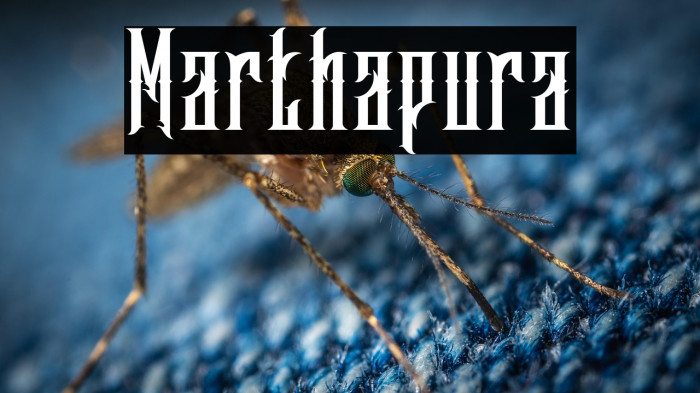 Marthapura Example 3