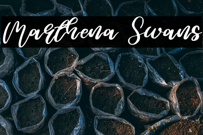 Marthena Swans Example 1