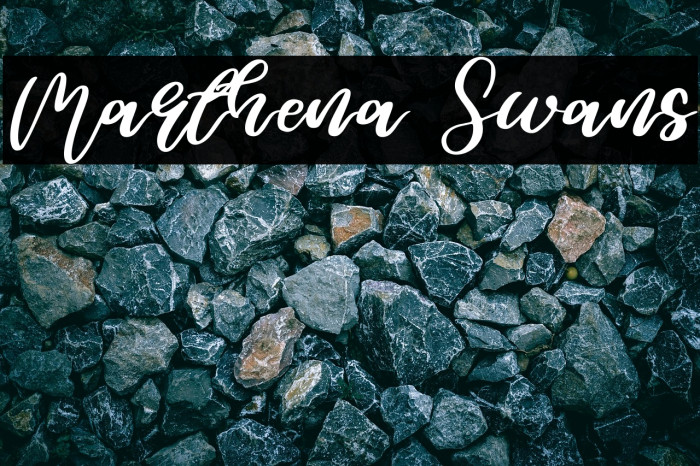 Marthena Swans Example 2