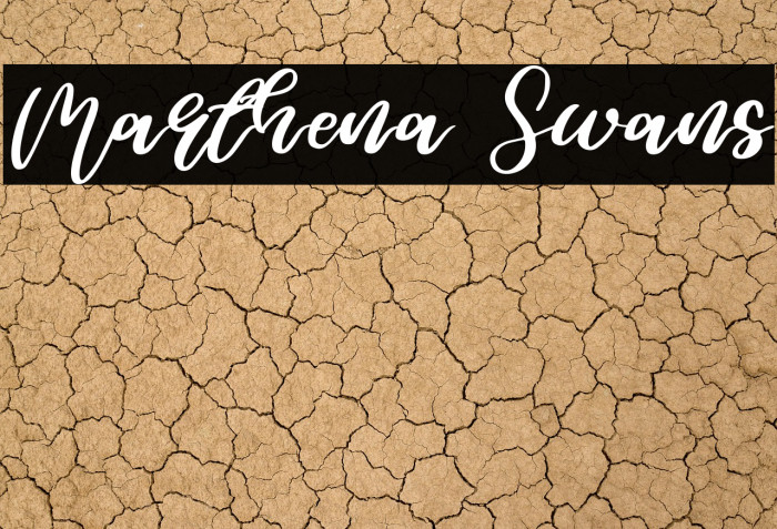 Marthena Swans Example 3