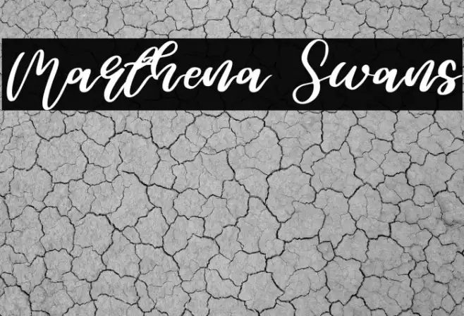Marthena Swans Example 3