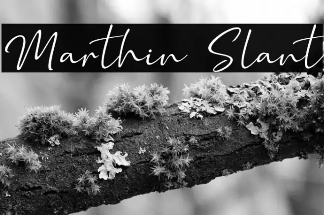 Marthin Slant Font examples