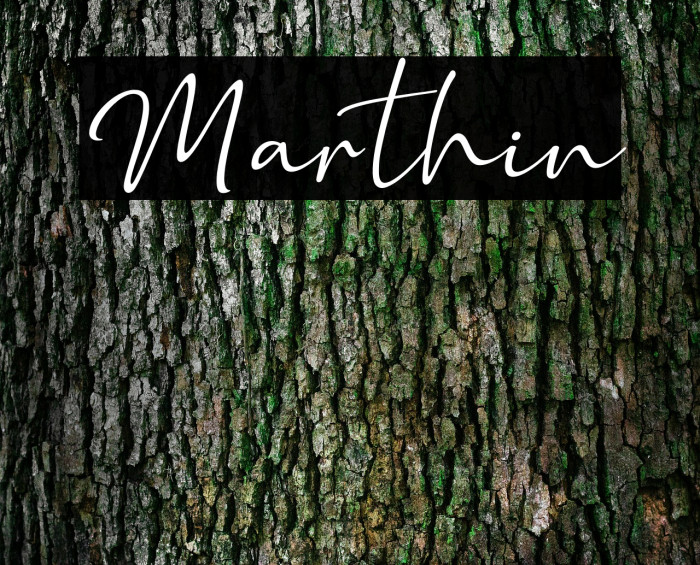 Marthin Font examples