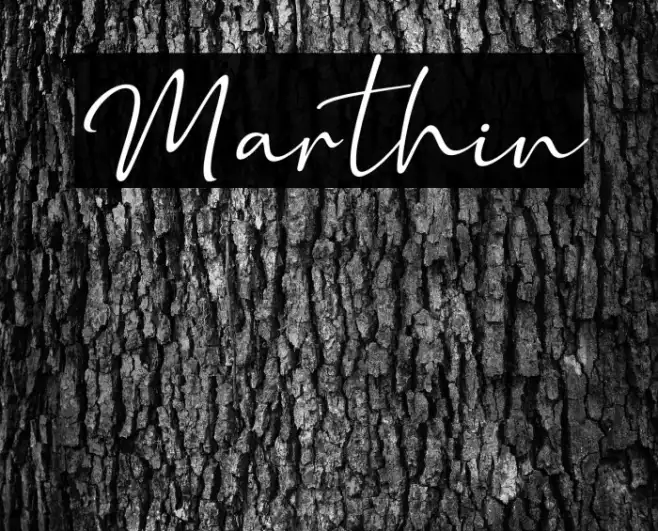 Marthin Example 1