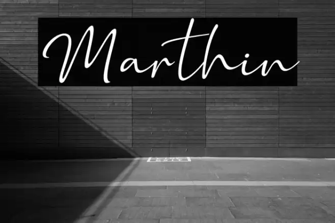 Marthin Example 3