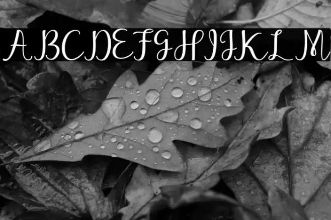 Marthina Font examples