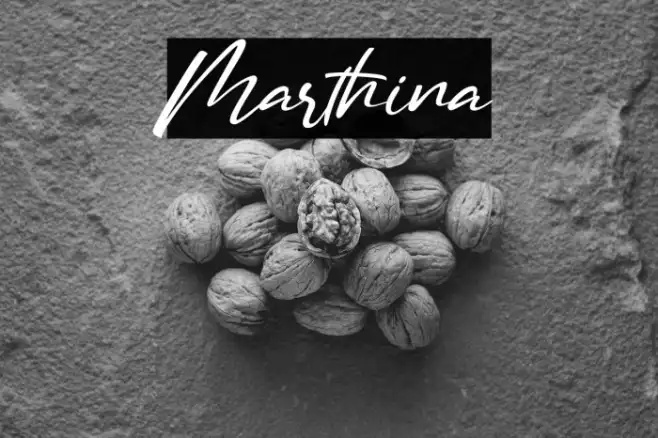 Marthina Example 1