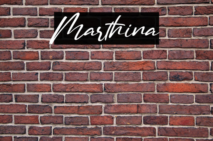 Marthina Example 3