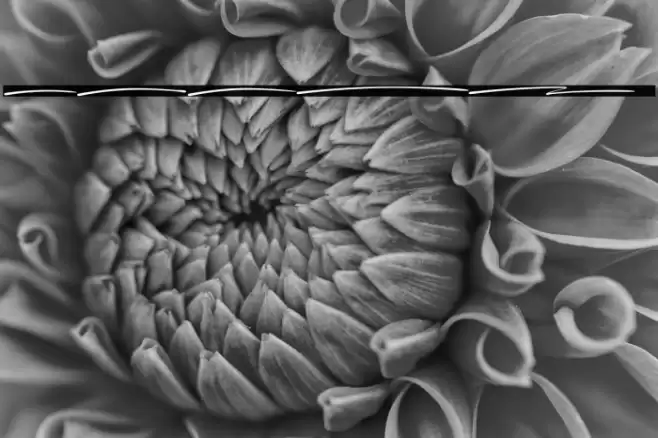 Marthinoul Swash Font examples